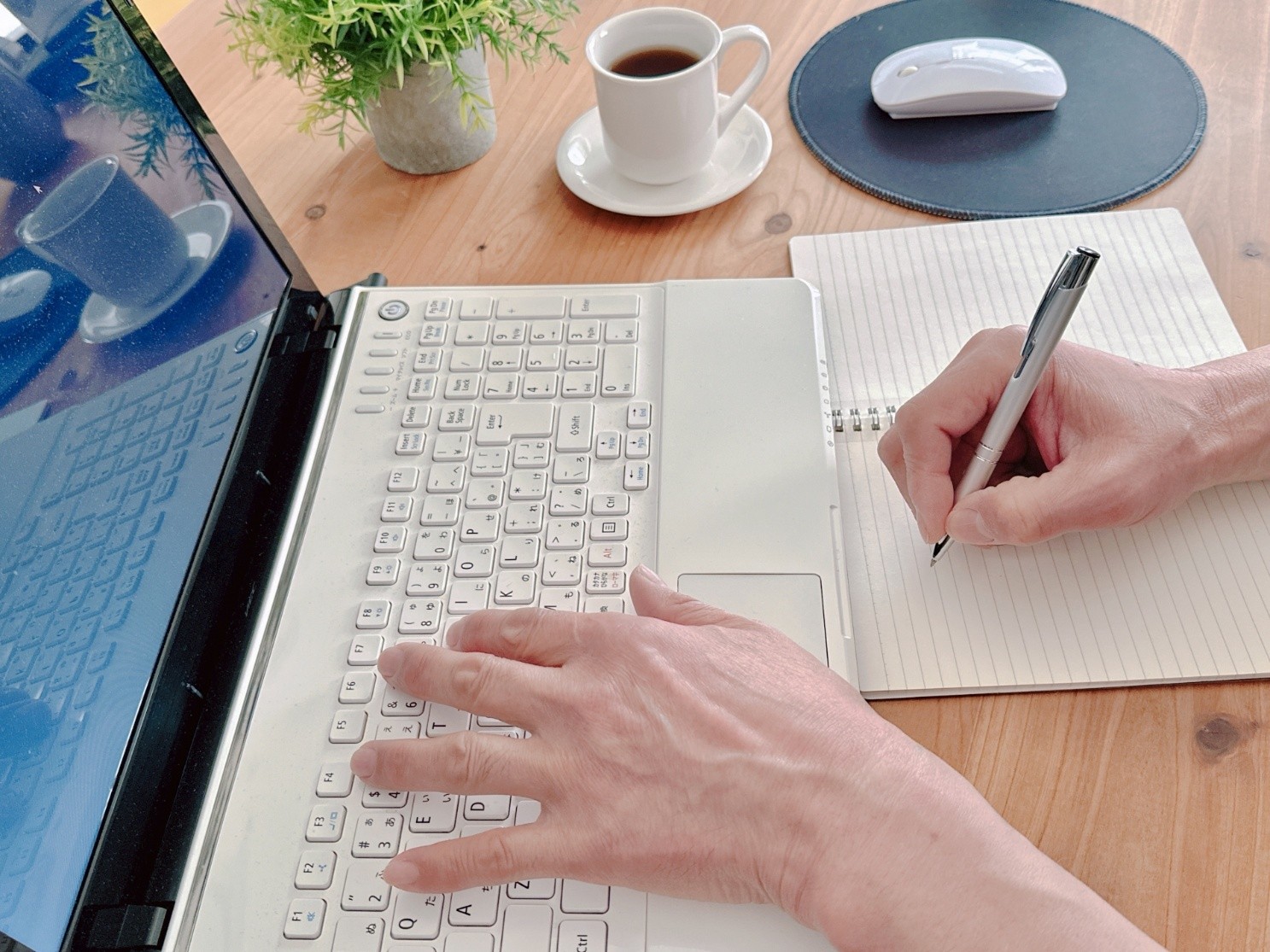 デイトラの評判