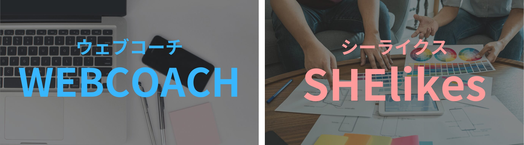 ウェブコーチとシーライクス